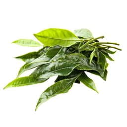 User profile preview